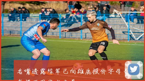 名嘴透露绿军已向雄鹿报价字母哥有望下周完成交易