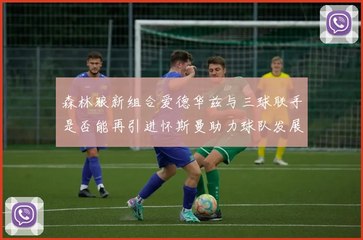 森林狼新组合爱德华兹与三球联手是否能再引进怀斯曼助力球队发展